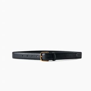 Aritzia Essential Solid Brass Leather Belt